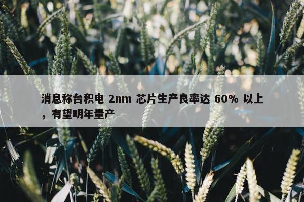 消息称台积电 2nm 芯片生产良率达 60% 以上，有望明年量产