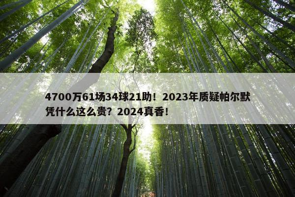 4700万61场34球21助！2023年质疑帕尔默凭什么这么贵？2024真香！