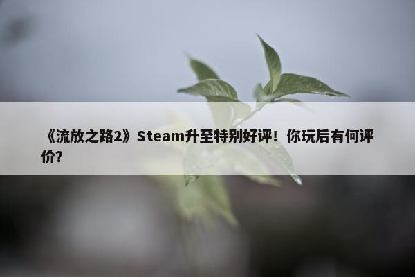 《流放之路2》Steam升至特别好评！你玩后有何评价？