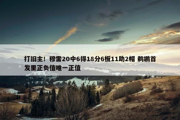 打旧主！穆雷20中6得18分6板11助2帽 鹈鹕首发里正负值唯一正值