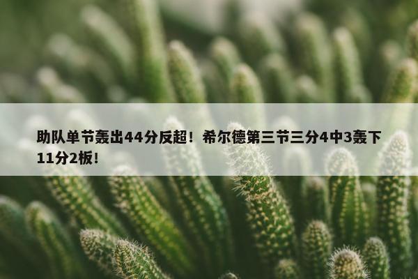 助队单节轰出44分反超！希尔德第三节三分4中3轰下11分2板！