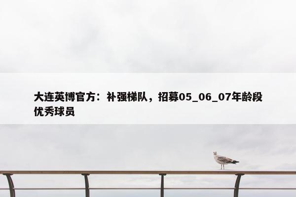 大连英博官方：补强梯队，招募05_06_07年龄段优秀球员