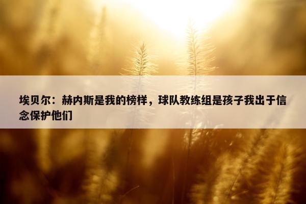 埃贝尔：赫内斯是我的榜样，球队教练组是孩子我出于信念保护他们