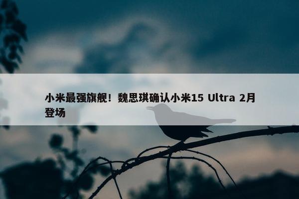 小米最强旗舰！魏思琪确认小米15 Ultra 2月登场