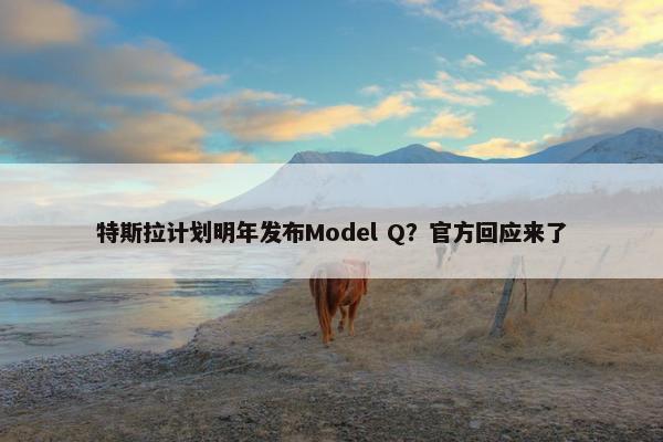 特斯拉计划明年发布Model Q？官方回应来了