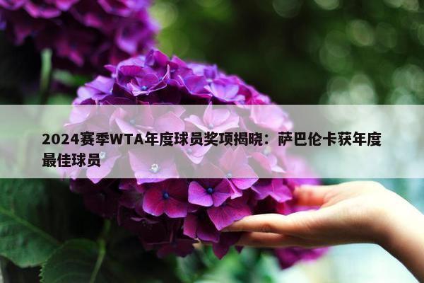 2024赛季WTA年度球员奖项揭晓：萨巴伦卡获年度最佳球员