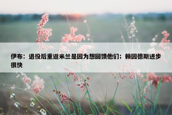 伊布：退役后重返米兰是因为想回馈他们；赖因德斯进步很快