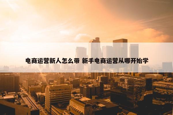 电商运营新人怎么带 新手电商运营从哪开始学