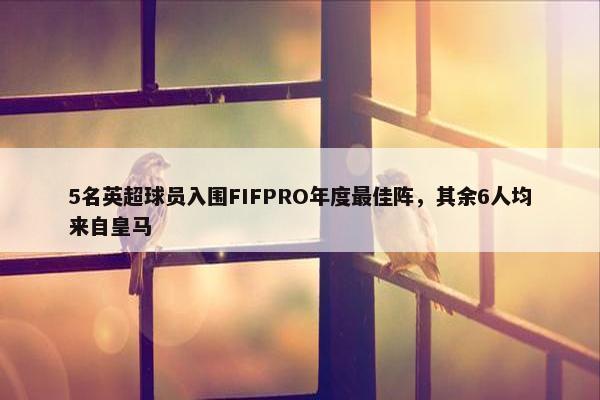 5名英超球员入围FIFPRO年度最佳阵，其余6人均来自皇马