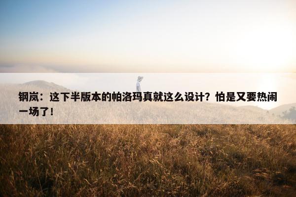 钢岚：这下半版本的帕洛玛真就这么设计？怕是又要热闹一场了！