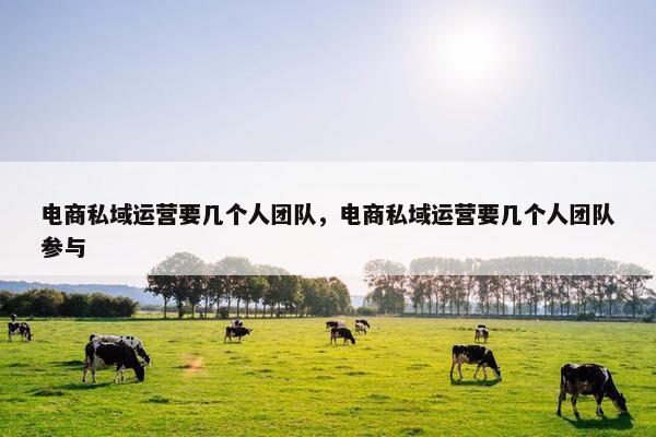 电商私域运营要几个人团队，电商私域运营要几个人团队参与