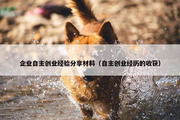 企业自主创业经验分享材料（自主创业经历的收获）