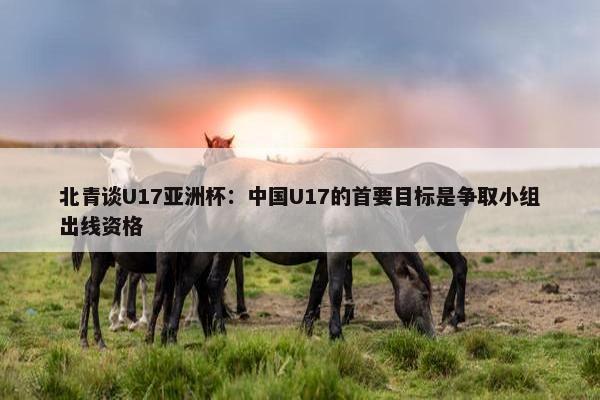 北青谈U17亚洲杯：中国U17的首要目标是争取小组出线资格