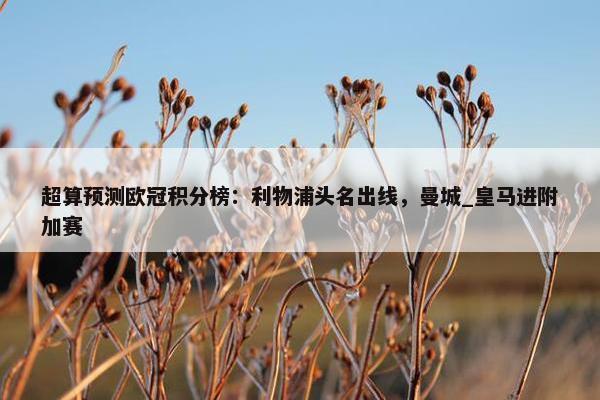 超算预测欧冠积分榜：利物浦头名出线，曼城_皇马进附加赛