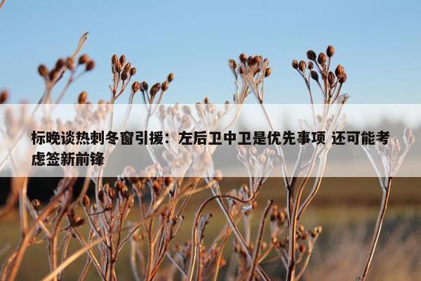 标晚谈热刺冬窗引援：左后卫中卫是优先事项 还可能考虑签新前锋