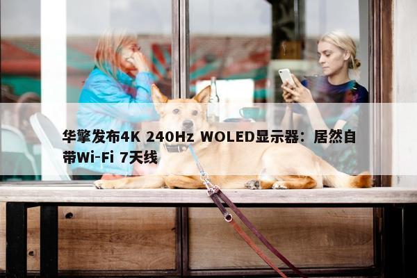 华擎发布4K 240Hz WOLED显示器：居然自带Wi-Fi 7天线