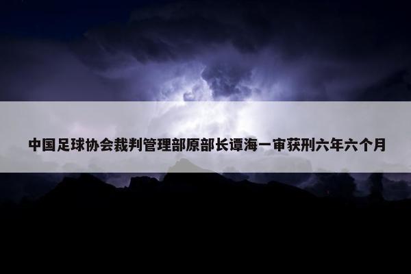 中国足球协会裁判管理部原部长谭海一审获刑六年六个月