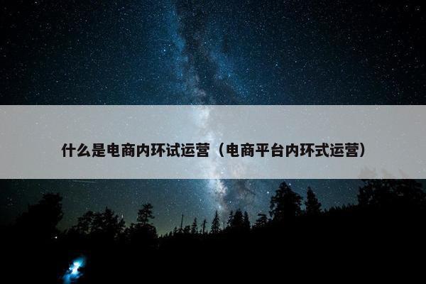 什么是电商内环试运营（电商平台内环式运营）