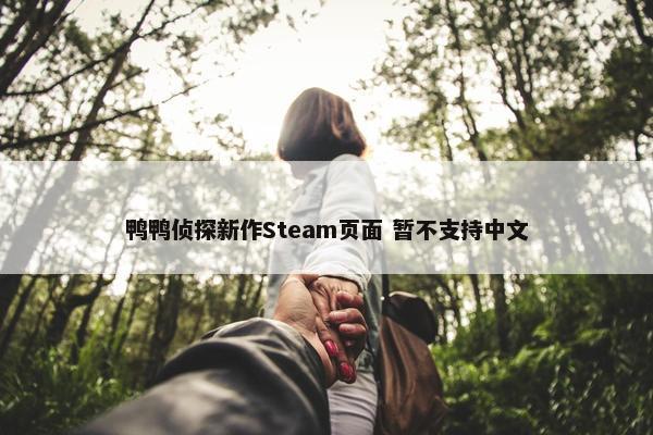 鸭鸭侦探新作Steam页面 暂不支持中文