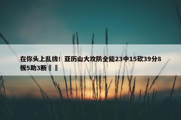 在你头上乱拔！亚历山大攻防全能23中15砍39分8板5助3断⚡️