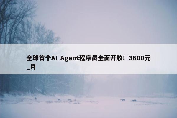 全球首个AI Agent程序员全面开放！3600元_月