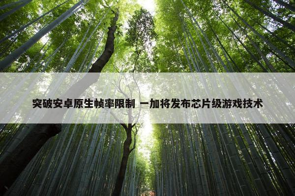 突破安卓原生帧率限制 一加将发布芯片级游戏技术