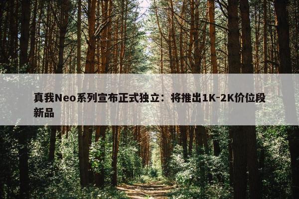 真我Neo系列宣布正式独立：将推出1K-2K价位段新品