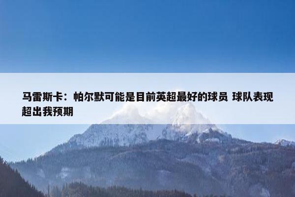 马雷斯卡：帕尔默可能是目前英超最好的球员 球队表现超出我预期