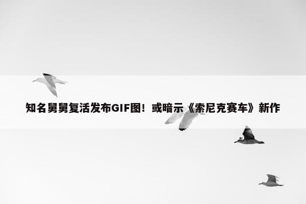 知名舅舅复活发布GIF图！或暗示《索尼克赛车》新作