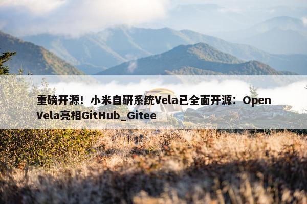 重磅开源！小米自研系统Vela已全面开源：OpenVela亮相GitHub_Gitee