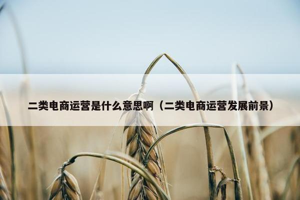 二类电商运营是什么意思啊（二类电商运营发展前景）