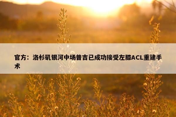 官方：洛杉矶银河中场普吉已成功接受左膝ACL重建手术