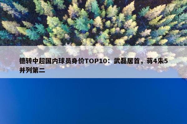 德转中超国内球员身价TOP10：武磊居首，蒋4朱5并列第二