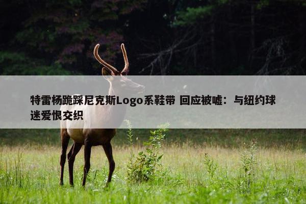 特雷杨跪踩尼克斯Logo系鞋带 回应被嘘：与纽约球迷爱恨交织