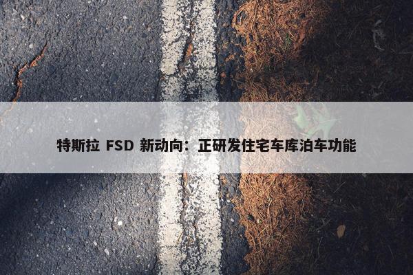 特斯拉 FSD 新动向：正研发住宅车库泊车功能