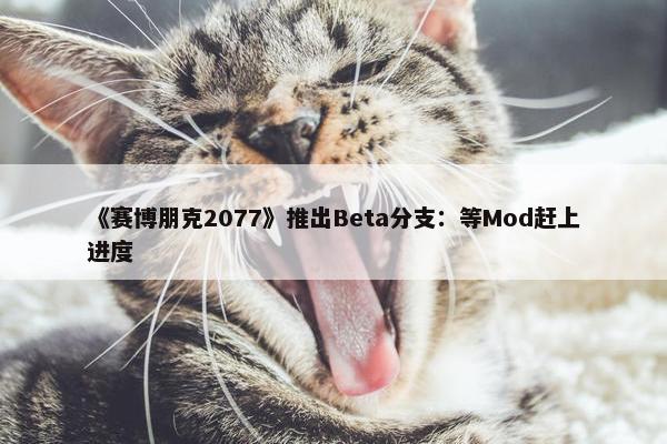 《赛博朋克2077》推出Beta分支：等Mod赶上进度