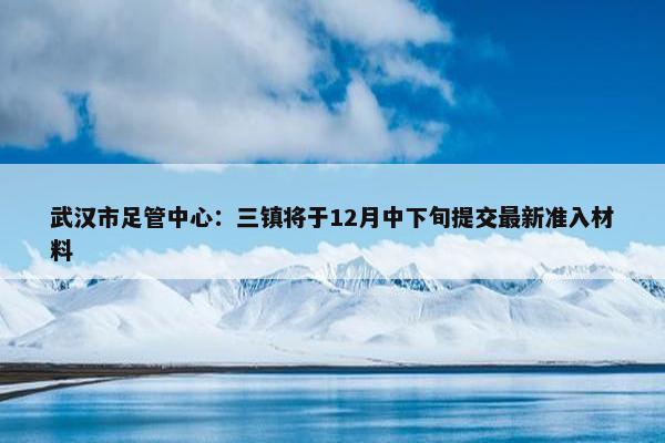 武汉市足管中心：三镇将于12月中下旬提交最新准入材料