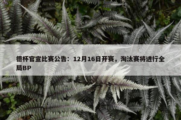 德杯官宣比赛公告：12月16日开赛，淘汰赛将进行全局BP