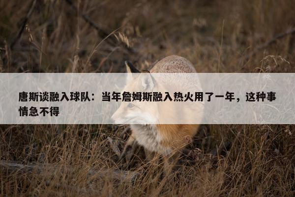 唐斯谈融入球队：当年詹姆斯融入热火用了一年，这种事情急不得