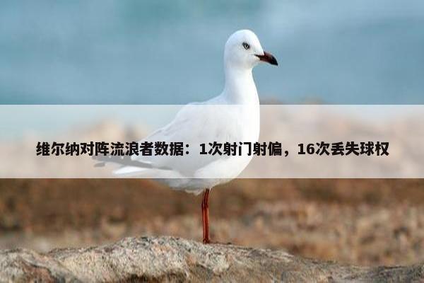 维尔纳对阵流浪者数据：1次射门射偏，16次丢失球权