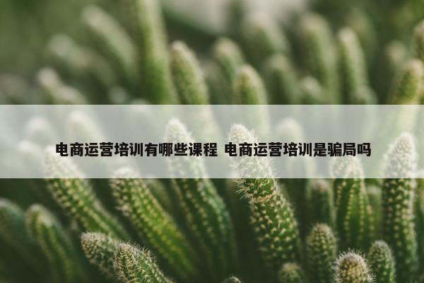 电商运营培训有哪些课程 电商运营培训是骗局吗