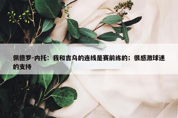 佩德罗-内托：我和吉乌的连线是赛前练的；很感激球迷的支持