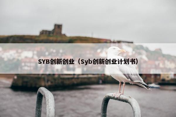 SYB创新创业（Syb创新创业计划书）