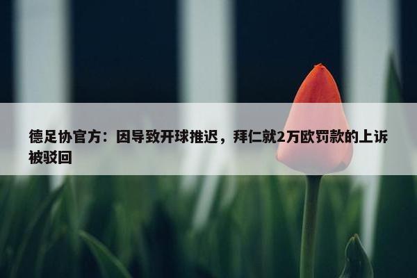 德足协官方：因导致开球推迟，拜仁就2万欧罚款的上诉被驳回