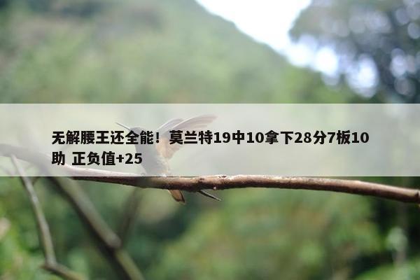 无解腰王还全能！莫兰特19中10拿下28分7板10助 正负值+25