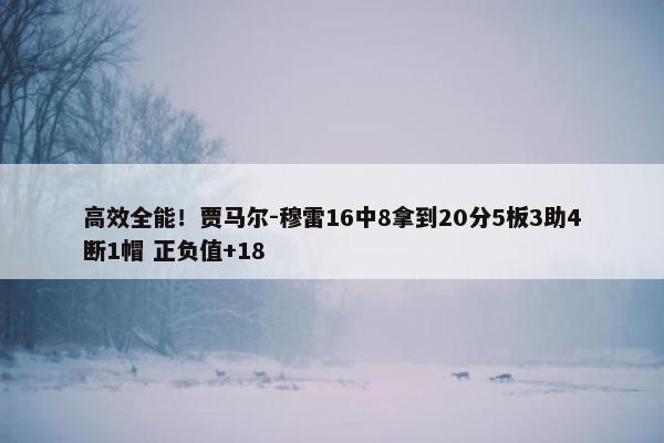 高效全能！贾马尔-穆雷16中8拿到20分5板3助4断1帽 正负值+18