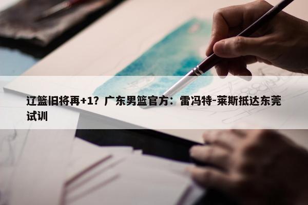 辽篮旧将再+1？广东男篮官方：雷冯特-莱斯抵达东莞试训