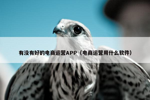 有没有好的电商运营APP（电商运营用什么软件）