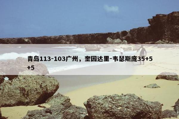 青岛113-103广州，奎因达里-韦瑟斯庞35+5+5