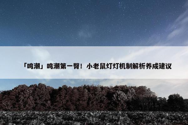 「鸣潮」鸣潮第一臀！小老鼠灯灯机制解析养成建议